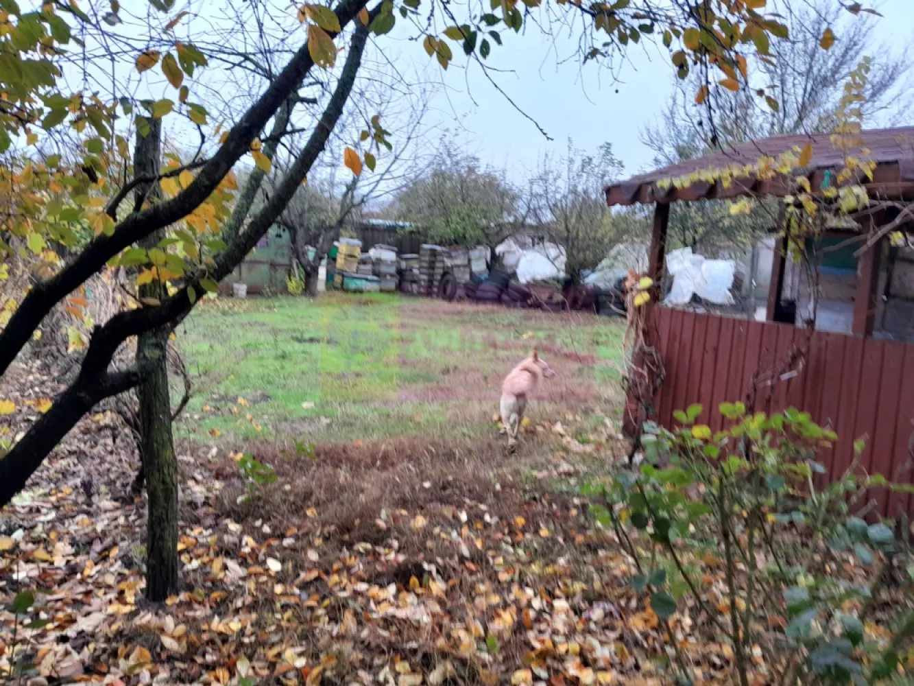 DE VANZARE CASA IN COM. BRANESTI (IF)