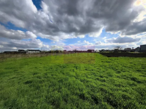 Casă individuală zona București-Ilfov în Măgurele aproape de pădure