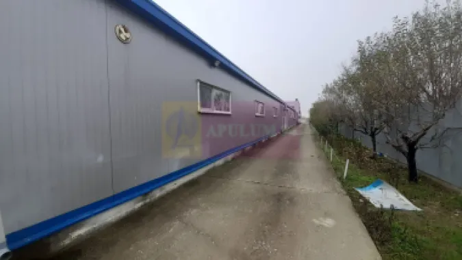 Showroom în Sudul Bucureștiului