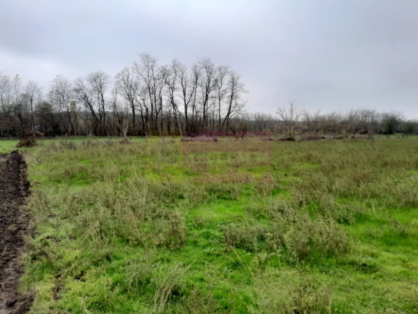 De vanzare casa +teren 16k mp in BARCANESTI / IL