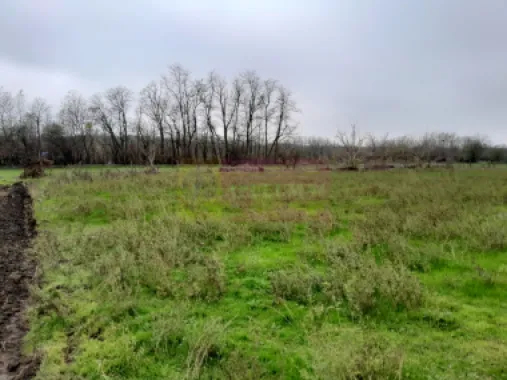 De vanzare casa +teren 16k mp in BARCANESTI / IL