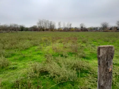 De vanzare casa +teren 16k mp in BARCANESTI / IL
