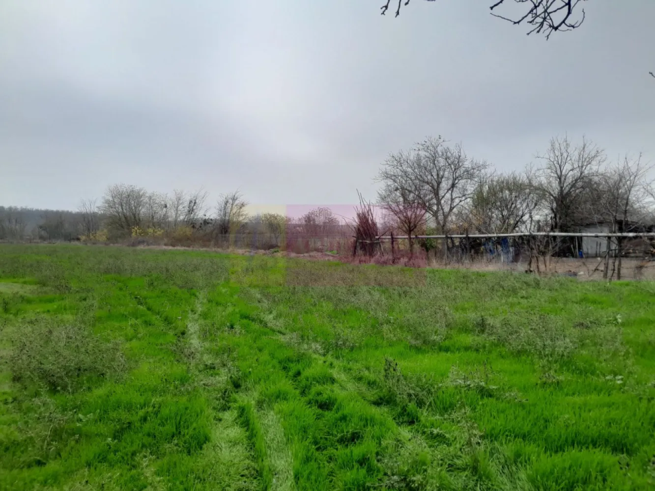 De vanzare casa +teren 16k mp in BARCANESTI / IL