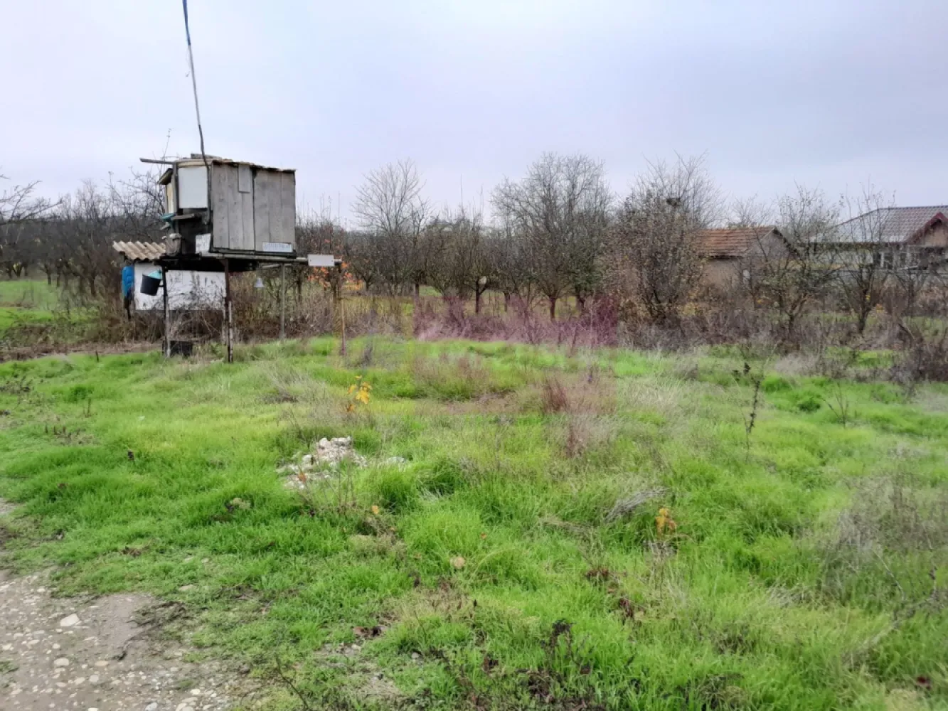 De vanzare casa +teren 16k mp in BARCANESTI / IL