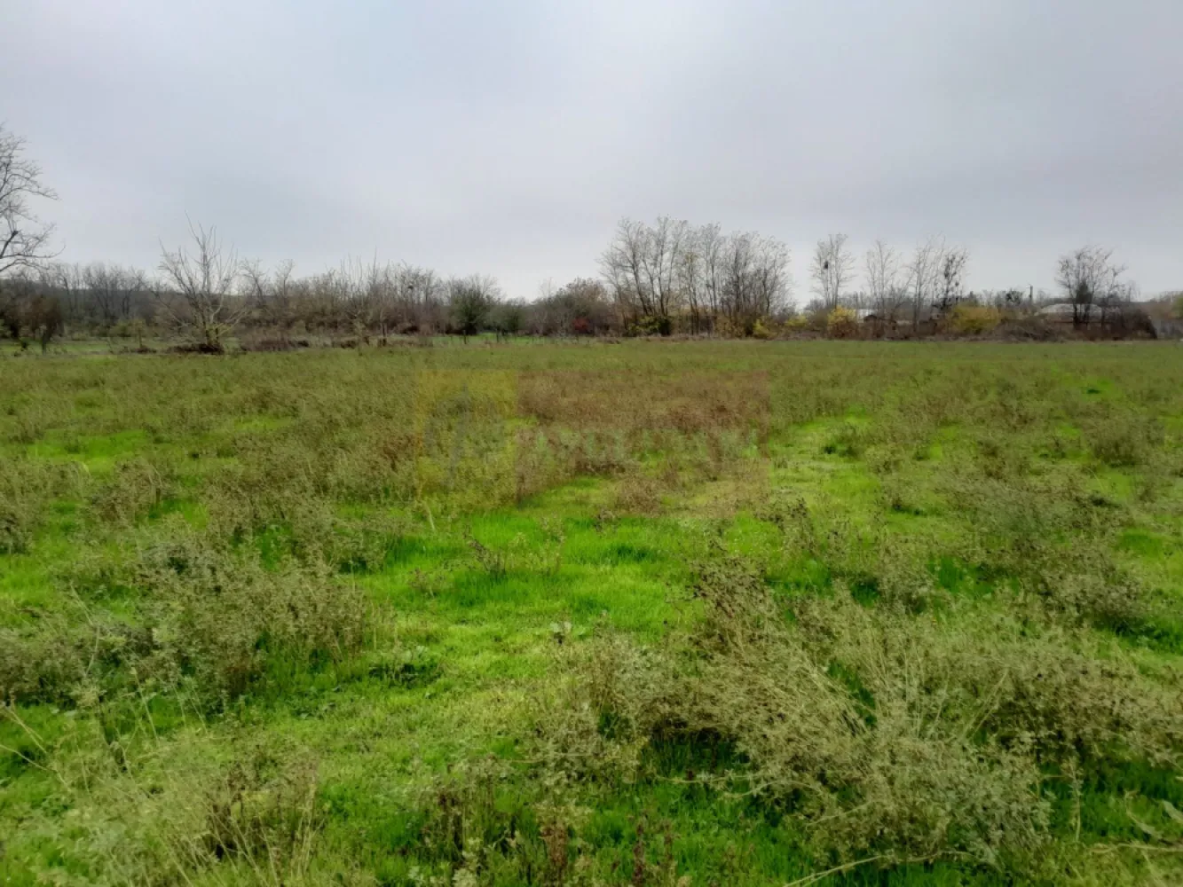 De vanzare casa +teren 16k mp in BARCANESTI / IL