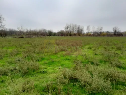 De vanzare casa +teren 16k mp in BARCANESTI / IL