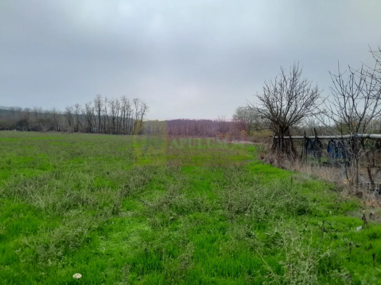 De vanzare casa +teren 16k mp in BARCANESTI / IL