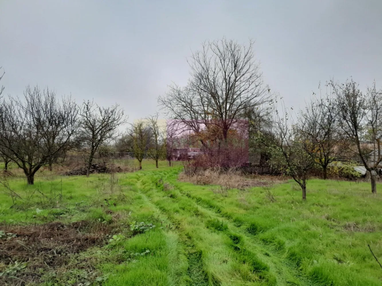 De vanzare casa +teren 16k mp in BARCANESTI / IL
