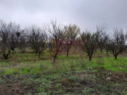 De vanzare casa +teren 16k mp in BARCANESTI / IL
