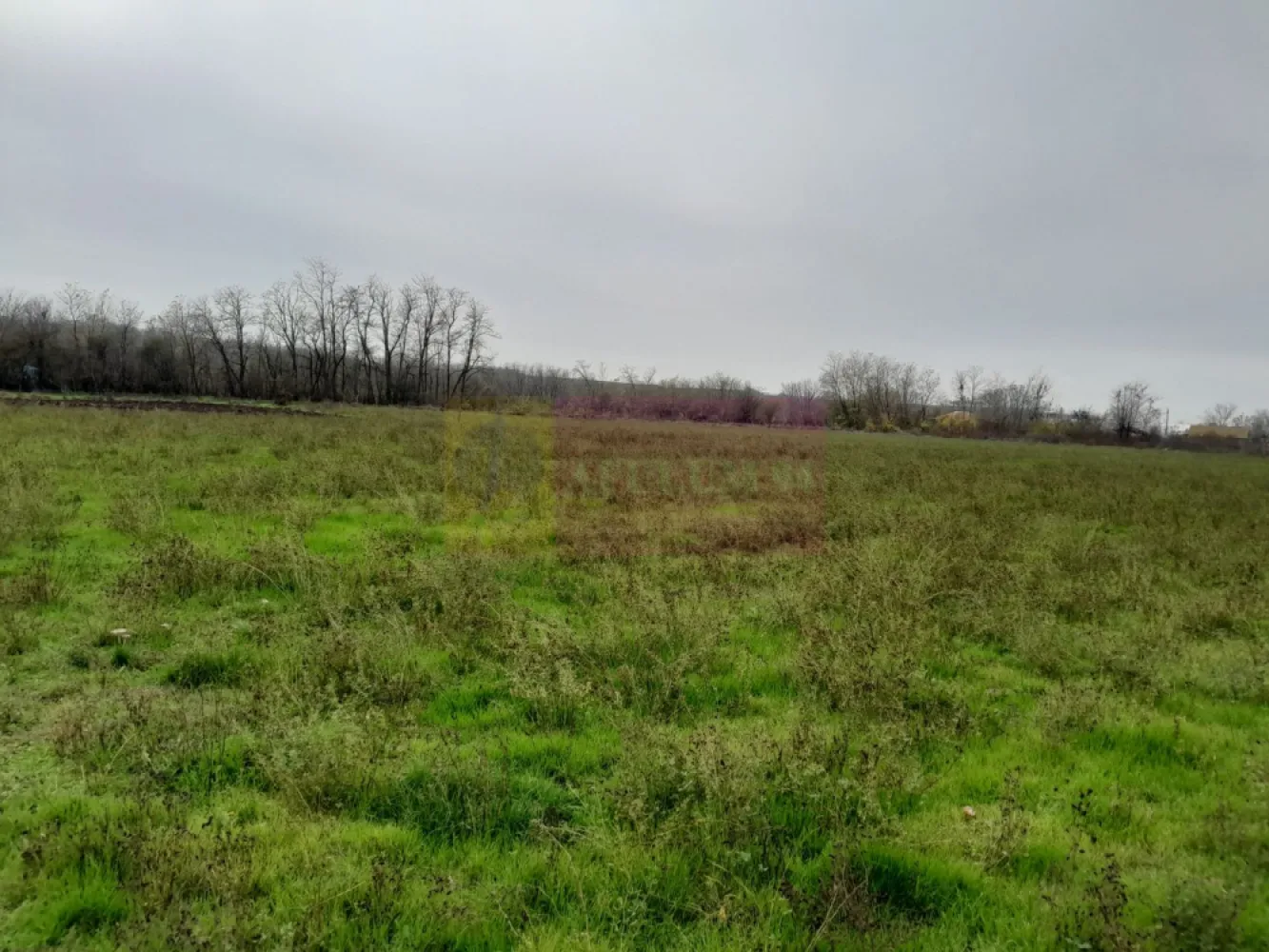 De vanzare casa +teren 16k mp in BARCANESTI / IL
