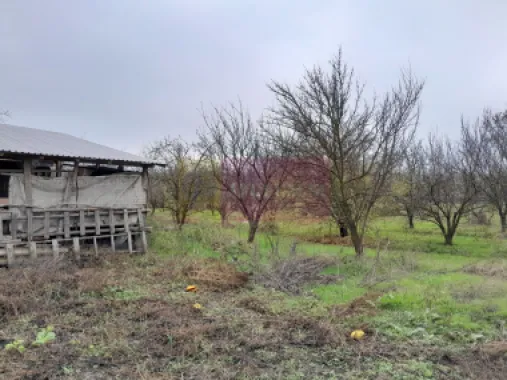 De vanzare casa +teren 16k mp in BARCANESTI / IL