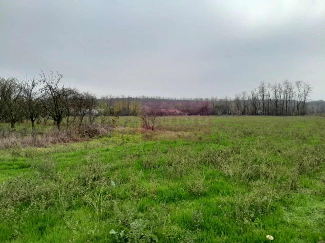 De vanzare casa +teren 16k mp in BARCANESTI / IL