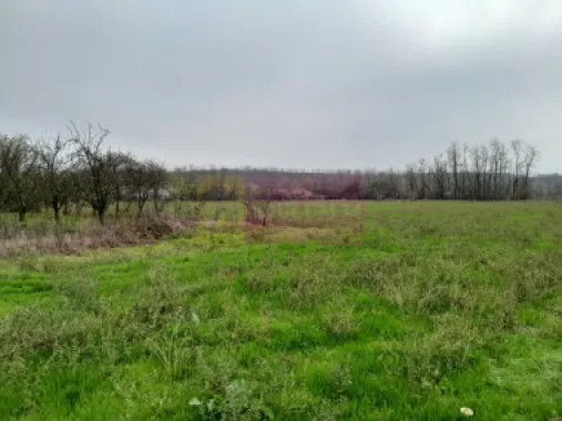 De vanzare casa +teren 16k mp in BARCANESTI / IL