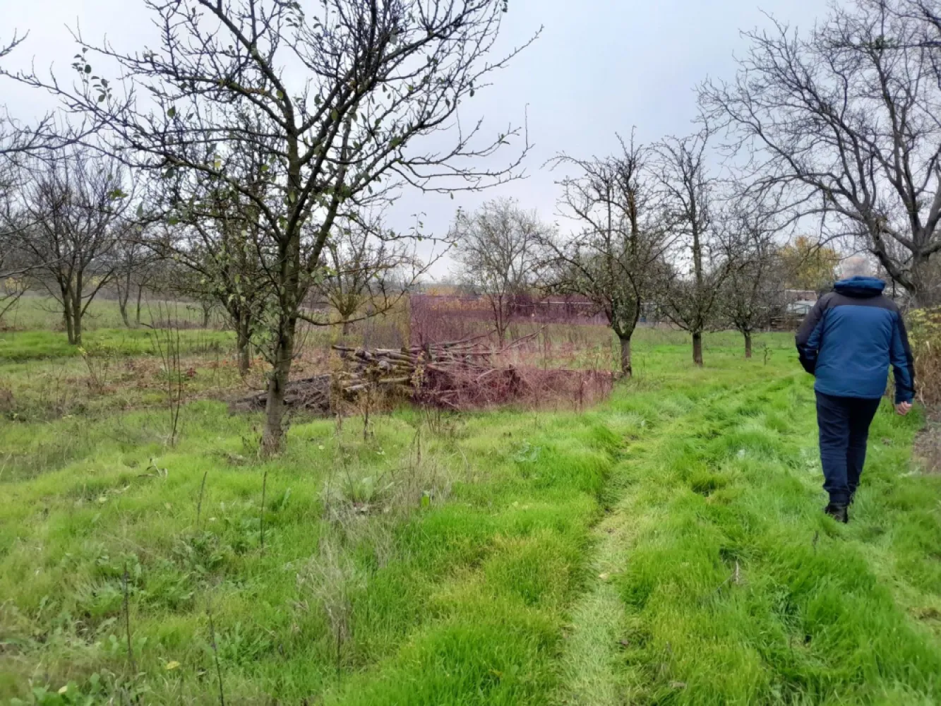 De vanzare casa +teren 16k mp in BARCANESTI / IL