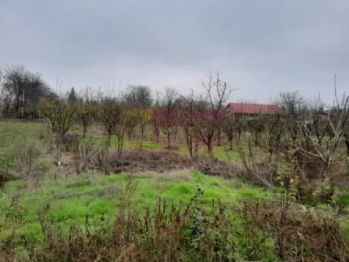 De vanzare casa +teren 16k mp in BARCANESTI / IL