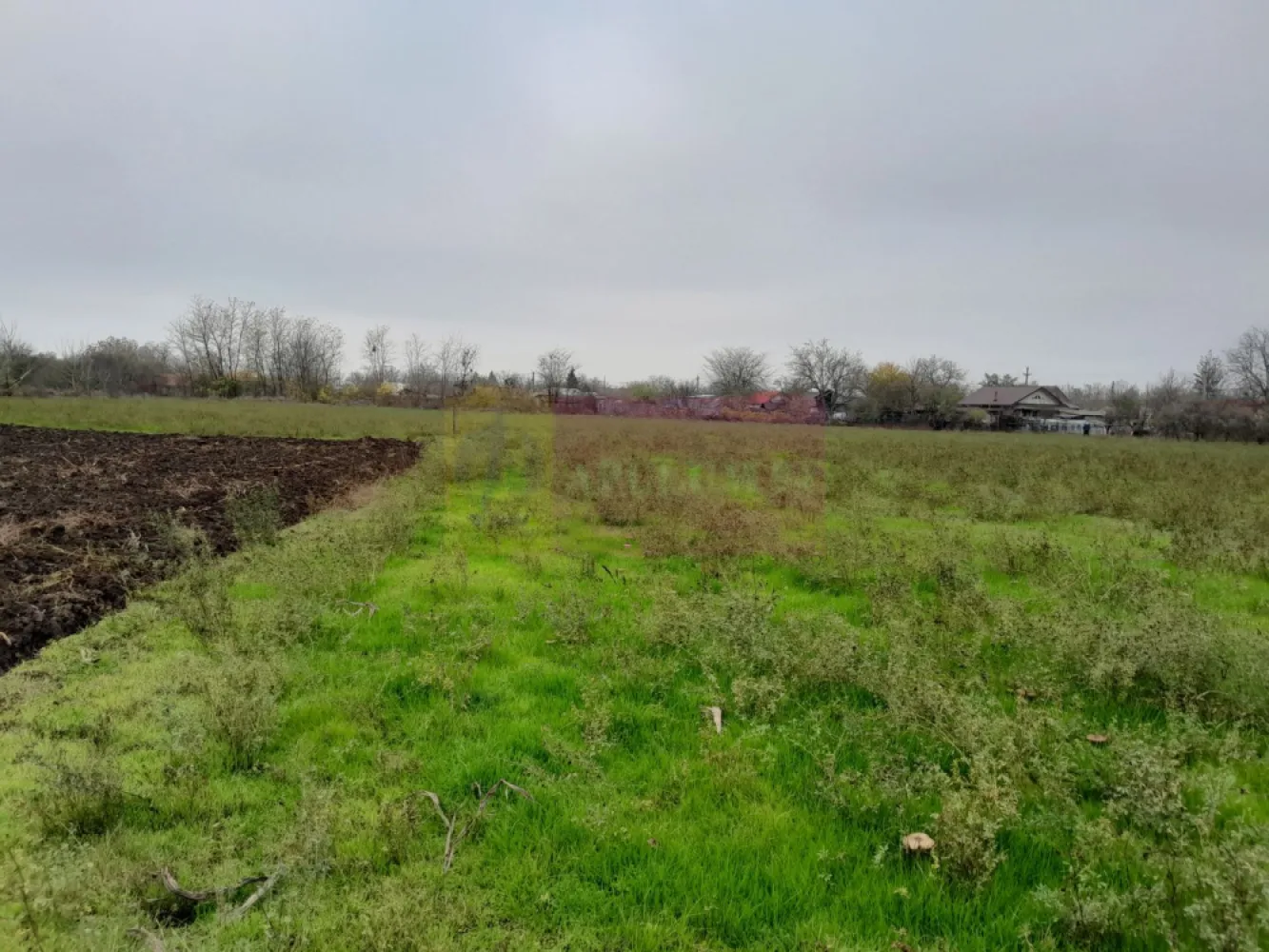 De vanzare casa +teren 16k mp in BARCANESTI / IL