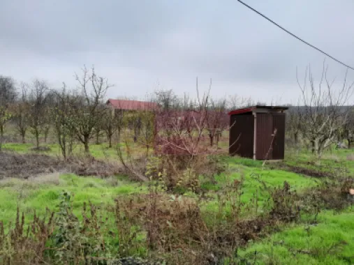 De vanzare casa +teren 16k mp in BARCANESTI / IL