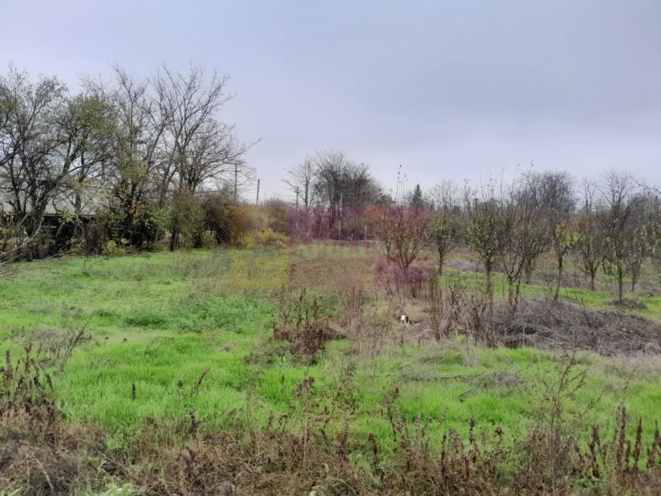 De vanzare casa +teren 16k mp in BARCANESTI / IL