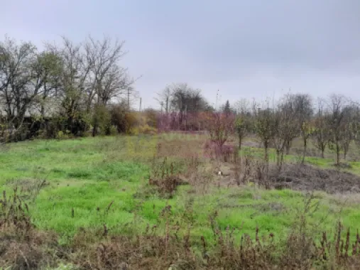 De vanzare casa +teren 16k mp in BARCANESTI / IL