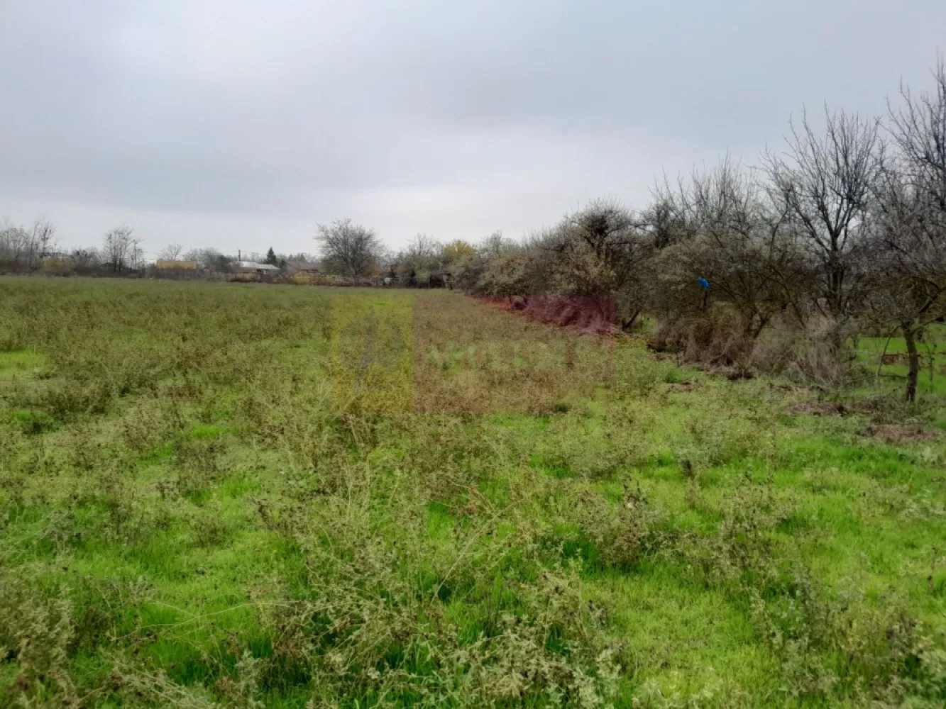 De vanzare casa +teren 16k mp in BARCANESTI / IL