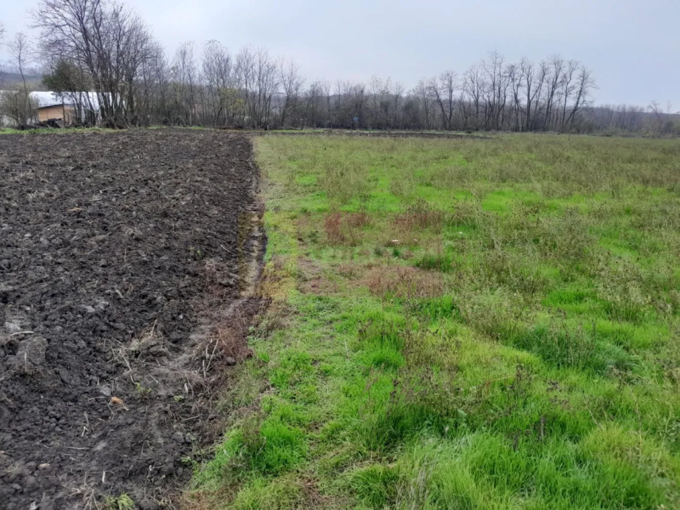 De vanzare casa +teren 16k mp in BARCANESTI / IL
