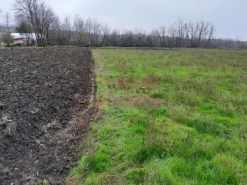 De vanzare casa +teren 16k mp in BARCANESTI / IL