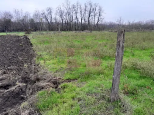 De vanzare casa +teren 16k mp in BARCANESTI / IL