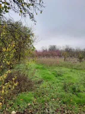 De vanzare casa +teren 16k mp in BARCANESTI / IL