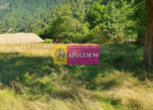 Teren Județul Vâlcea - Brezoi, Valea lui Stan