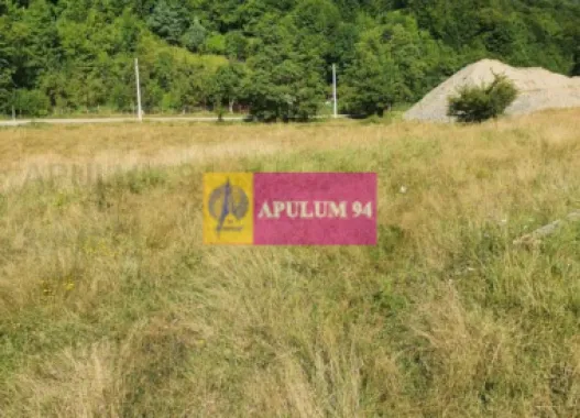 Teren Județul Vâlcea - Brezoi, Valea lui Stan