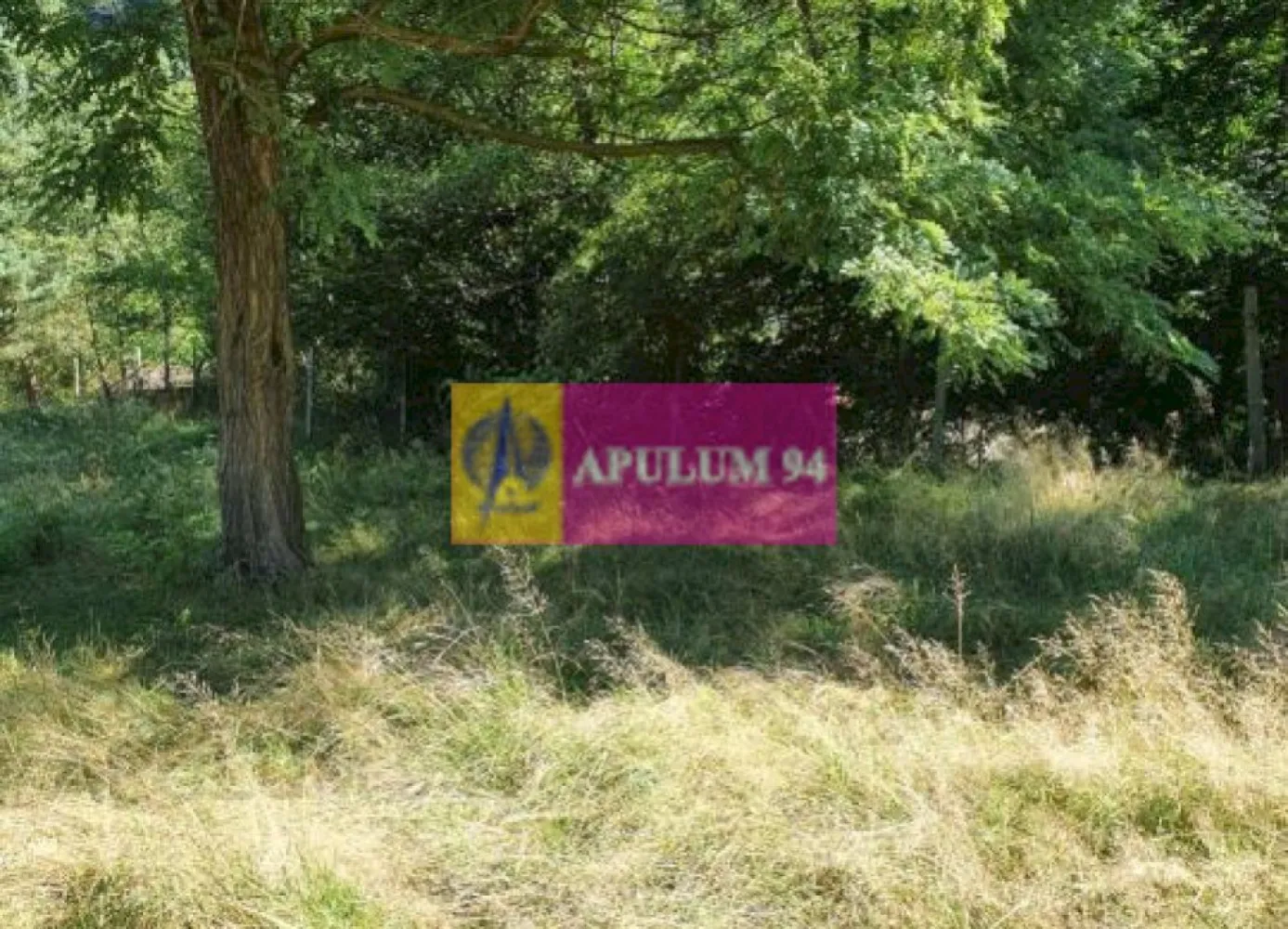Teren Județul Vâlcea - Brezoi, Valea lui Stan
