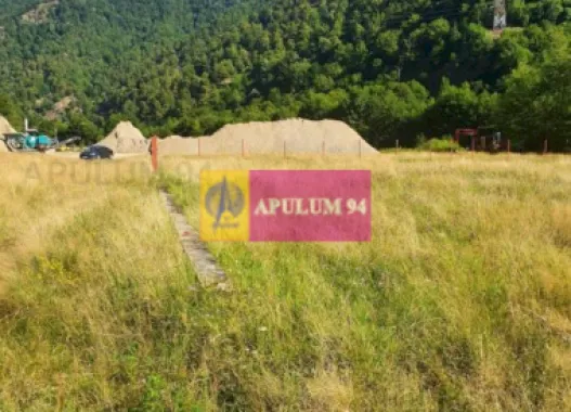 Teren Județul Vâlcea - Brezoi, Valea lui Stan