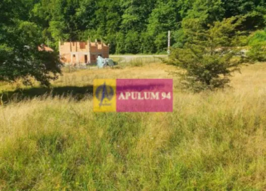 Teren Județul Vâlcea - Brezoi, Valea lui Stan