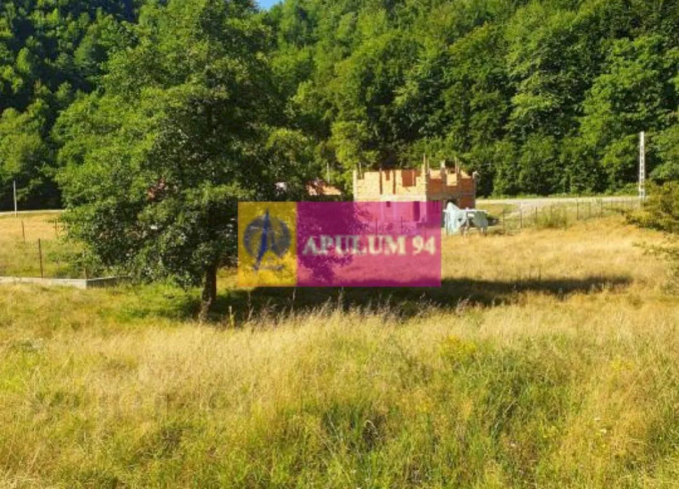 Teren Județul Vâlcea - Brezoi, Valea lui Stan