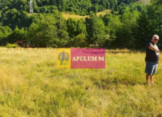 Teren Județul Vâlcea - Brezoi, Valea lui Stan
