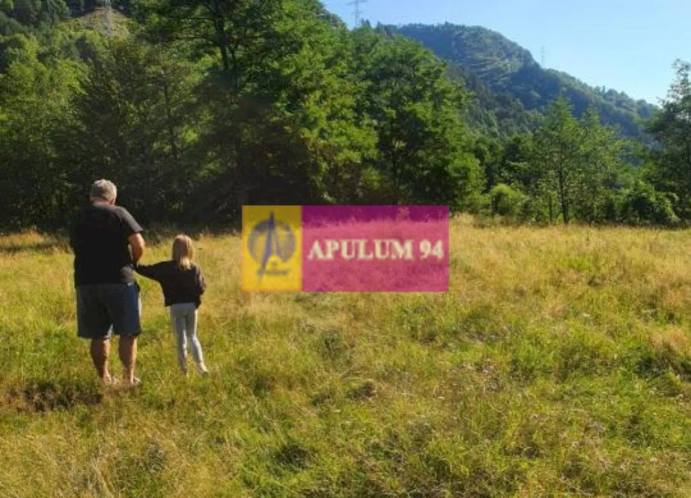 Teren Județul Vâlcea - Brezoi, Valea lui Stan
