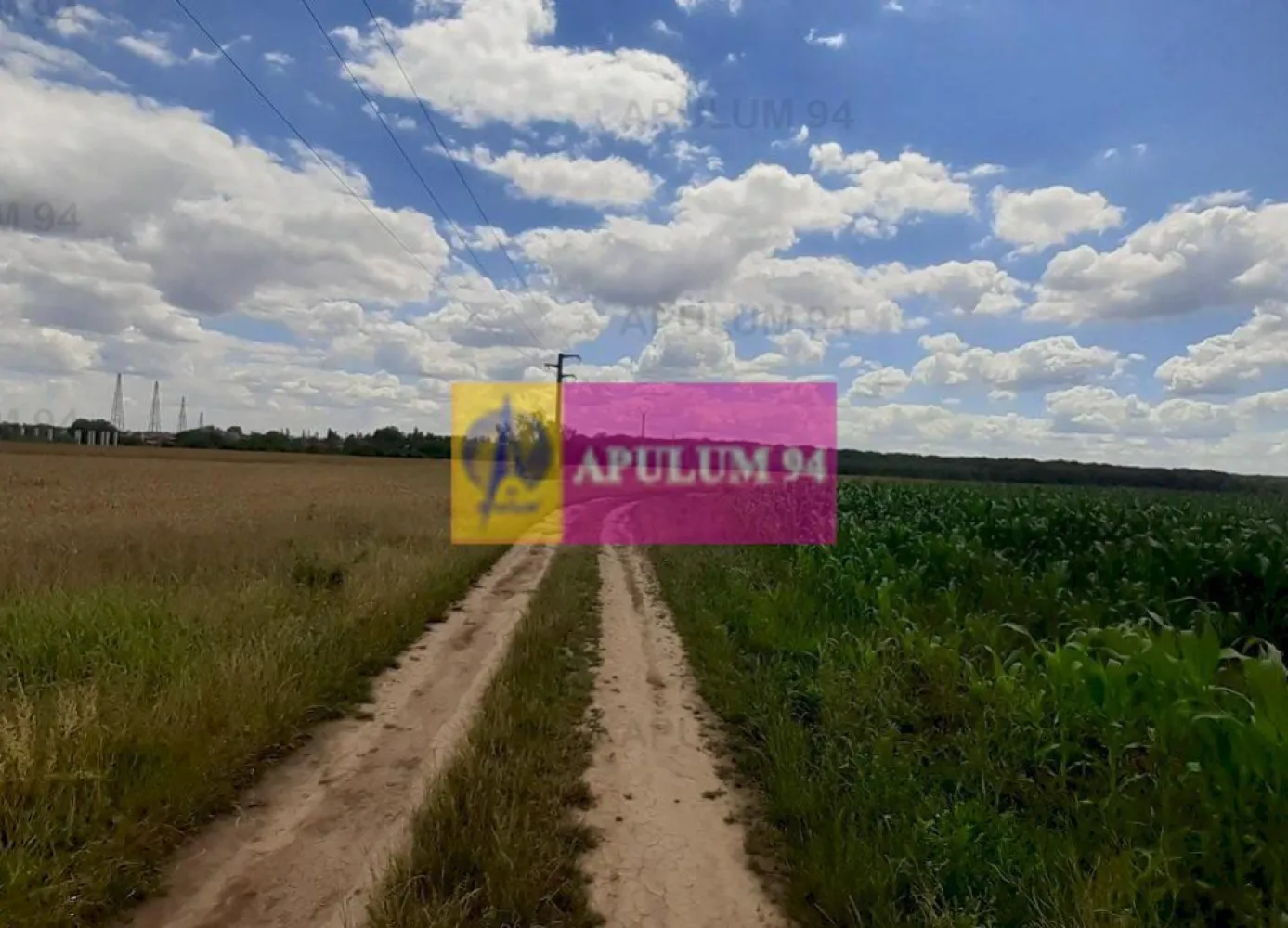 Teren 715mp în Snagov lângă Equestria - Vă propun spre cumpărare un teren de 715mp situat la 200ml de Centrul de Hipism Equestria cu acces facil spre Clubul de Golf, Therme București, Snagov Plaza și Zona Comercială DN1ValueCenter (Carrefour, Hornbach, McDonalds, Altex, Jysk, Pepco, C&A, Animax și alte magazine) de la intrare în Corbeanca. Terenul este situat între Pădurea Vlăsia și Centrul de Hipism cu acces facil din DN1, practic la 3-400ml de DN1 cum ieșim din Săftica pe partea dreaptă. Zona nu este dezvoltată în acest moment, nu avem contrucții în apropiere, ca și utilități avem curentul electric la 30-34 de metri de teren dar nu avem punct de transformare iar drumul de acces este de pământ pe alocuri piertuit și accesibil și cu mașină normală. Este un teren ideal pentru cei care își pot construi o casă offgrid, pentru a petrece weekend-ul cu familia și prietenii aproape de București și mai ales ca și investiție deoarece avem mai mulți poli de atracție la mică distanță și acum tronsonul A0 este dat în funcțiune deci de aici putem ajunge mai ușor oriunde. Pentru mai multe detalii și programarea de vizionări nu ezitați să mă conatactați, Daniel, Apulum94. Facilităm și achiziționarea prin credit ipotecar prin intermediul partenerilor, agenția imobiliară percepe un comision de 3% din prețul de tranzacționare și la vizionare se semnează contract de prestări servicii.