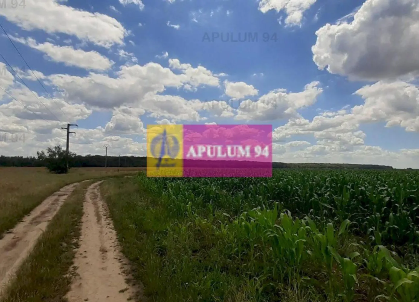 Teren 715mp în Snagov lângă Equestria - Vă propun spre cumpărare un teren de 715mp situat la 200ml de Centrul de Hipism Equestria cu acces facil spre Clubul de Golf, Therme București, Snagov Plaza și Zona Comercială DN1ValueCenter (Carrefour, Hornbach, McDonalds, Altex, Jysk, Pepco, C&A, Animax și alte magazine) de la intrare în Corbeanca. Terenul este situat între Pădurea Vlăsia și Centrul de Hipism cu acces facil din DN1, practic la 3-400ml de DN1 cum ieșim din Săftica pe partea dreaptă. Zona nu este dezvoltată în acest moment, nu avem contrucții în apropiere, ca și utilități avem curentul electric la 30-34 de metri de teren dar nu avem punct de transformare iar drumul de acces este de pământ pe alocuri piertuit și accesibil și cu mașină normală. Este un teren ideal pentru cei care își pot construi o casă offgrid, pentru a petrece weekend-ul cu familia și prietenii aproape de București și mai ales ca și investiție deoarece avem mai mulți poli de atracție la mică distanță și acum tronsonul A0 este dat în funcțiune deci de aici putem ajunge mai ușor oriunde. Pentru mai multe detalii și programarea de vizionări nu ezitați să mă conatactați, Daniel, Apulum94. Facilităm și achiziționarea prin credit ipotecar prin intermediul partenerilor, agenția imobiliară percepe un comision de 3% din prețul de tranzacționare și la vizionare se semnează contract de prestări servicii.