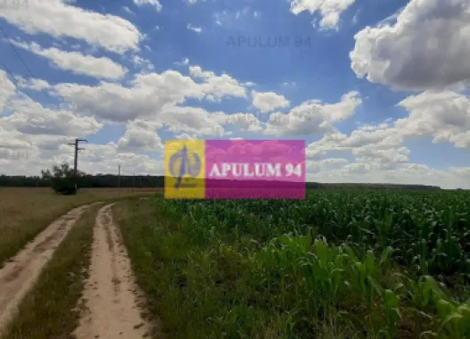 Teren 715mp în Snagov lângă Equestria