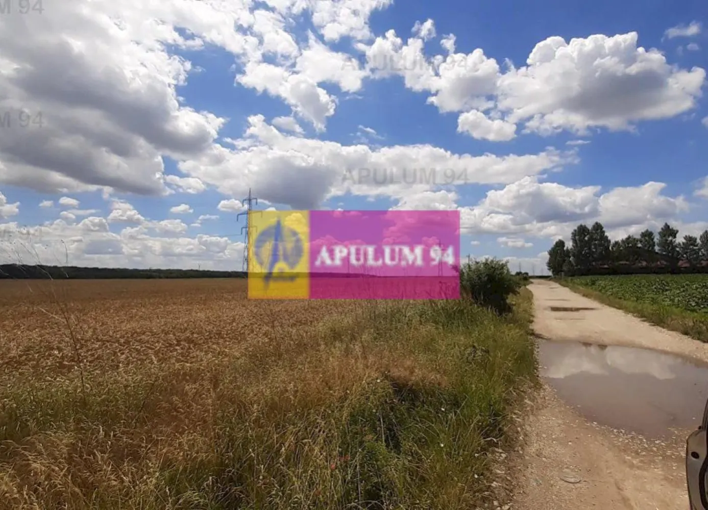 Teren 715mp în Snagov lângă Equestria
