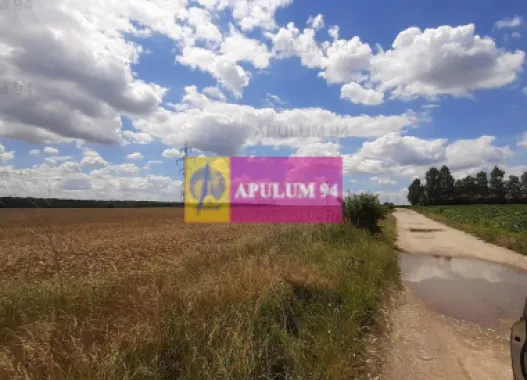 Teren 715mp în Snagov lângă Equestria