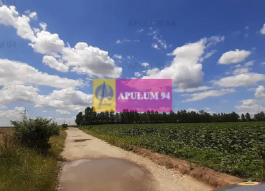 Teren 715mp în Snagov lângă Equestria