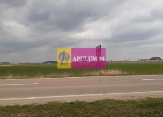 Teren Intravilan cu front stradal la un Drum Principal langa București