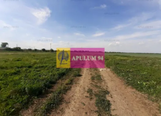 Teren aproape de Bucuresti langa padure