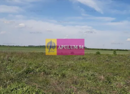 Teren aproape de Bucuresti langa padure