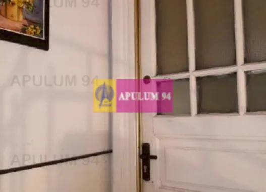 Apartament Elegant in Vilă zona Gradina Botanica-Splaiul Independenței