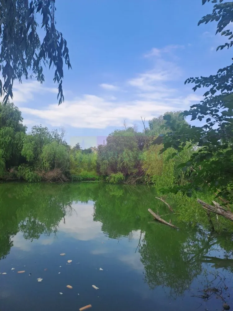 Cea mai frumoasă casă din zona Pipera - Băneasa