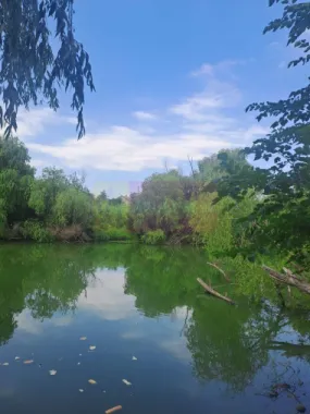 Cea mai frumoasă casă din zona Pipera - Băneasa