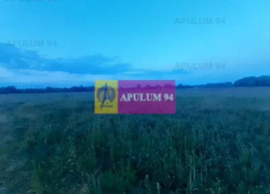 Teren aproape de Bucuresti langa padure