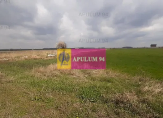 Teren Intravilan cu front stradal la un Drum Principal langa București